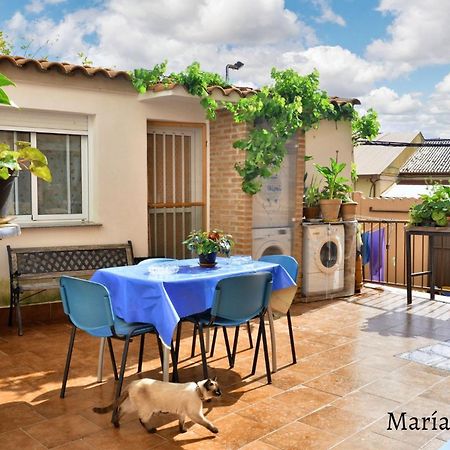Comfortable Apartment In Caceres 55 M² Welcoming Terrace Екстериор снимка