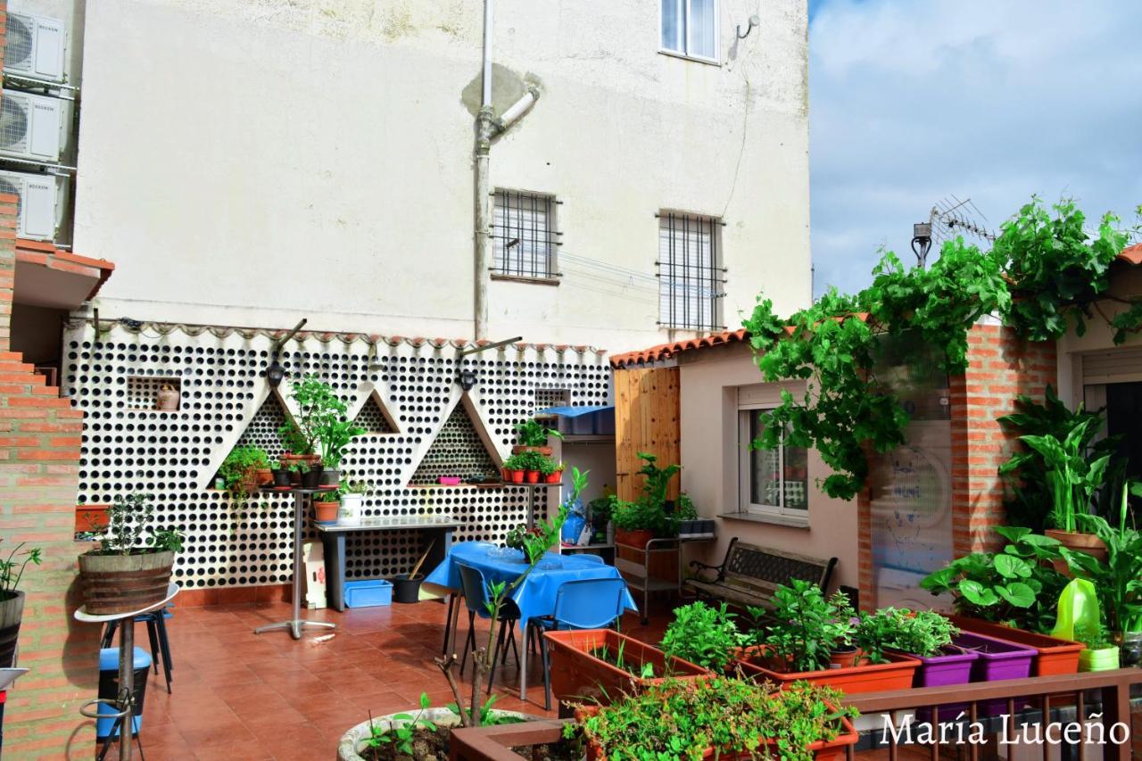 Comfortable Apartment In Caceres 55 M² Welcoming Terrace Екстериор снимка