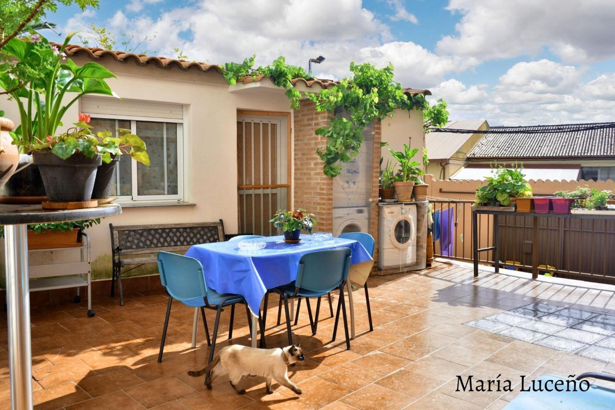 Comfortable Apartment In Caceres 55 M² Welcoming Terrace Екстериор снимка